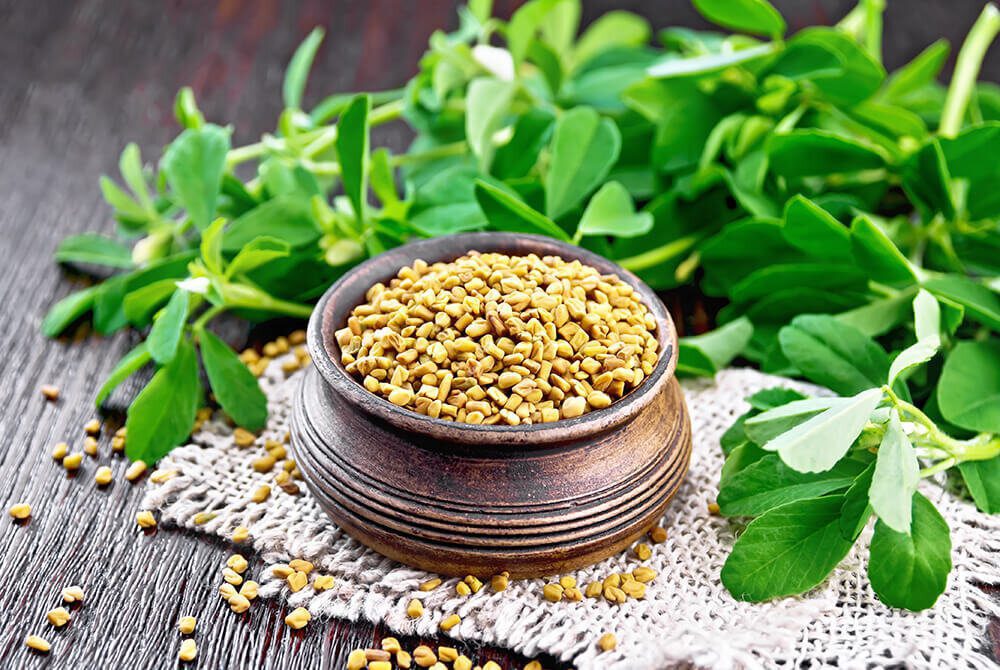 طرز تهیه سبزه خوب با متریال مختلف اشتباهات رایج در تهیه سبزه و راههای جلوگیری از آنها