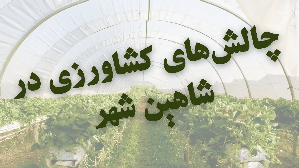 چالش&zwnj;های کشاورزی در شاهین شهر
