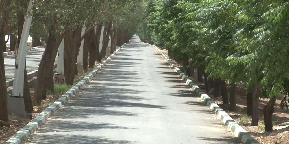مکانهای مناسب پیاده روی و ورزش صبحگاهی در شاهین شهر جاده سلامت شاهین شهر