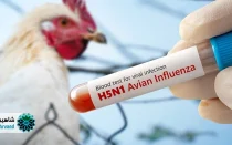 علت افزایش آنفلوآنزای پرندگان در اصفهان