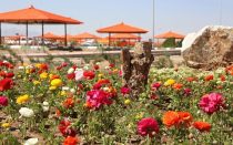 در شاهین شهر چه تفریحی داریم؟