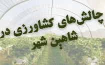 چالش‌های کشاورزی در شاهین شهر