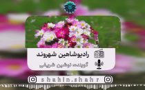 رادیو شاهین شهروند نوشین شریفی