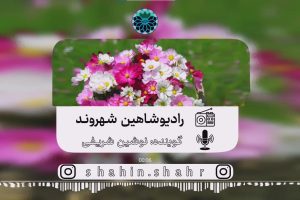 رادیو شاهین شهروند نوشین شریفی