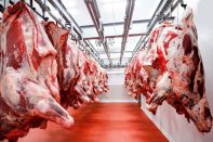 ۴۰ هزار تن گوشت منجمد به کشور تا پیش از ماه رمضان وارد می‌شود-