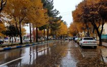 شاهین شهر در سال ۱۴۲۵